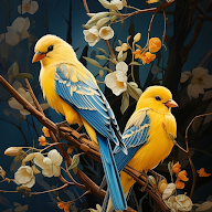 Bird Wallpaper HD icon