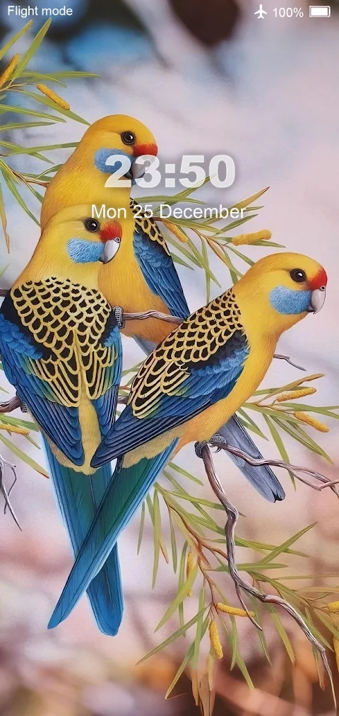 Bird Wallpaper HD screenshot