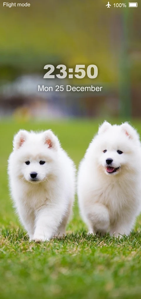 Dog Wallpaper screenshot