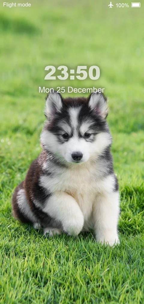 Dog Wallpaper screenshot